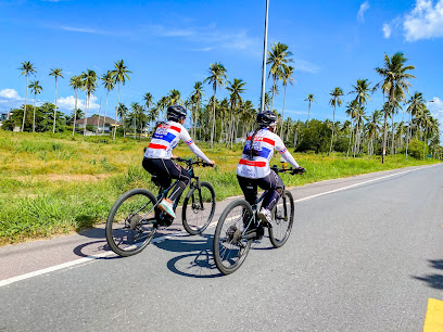 Siam Bike Tours and Road Bike Rentals thumb 3